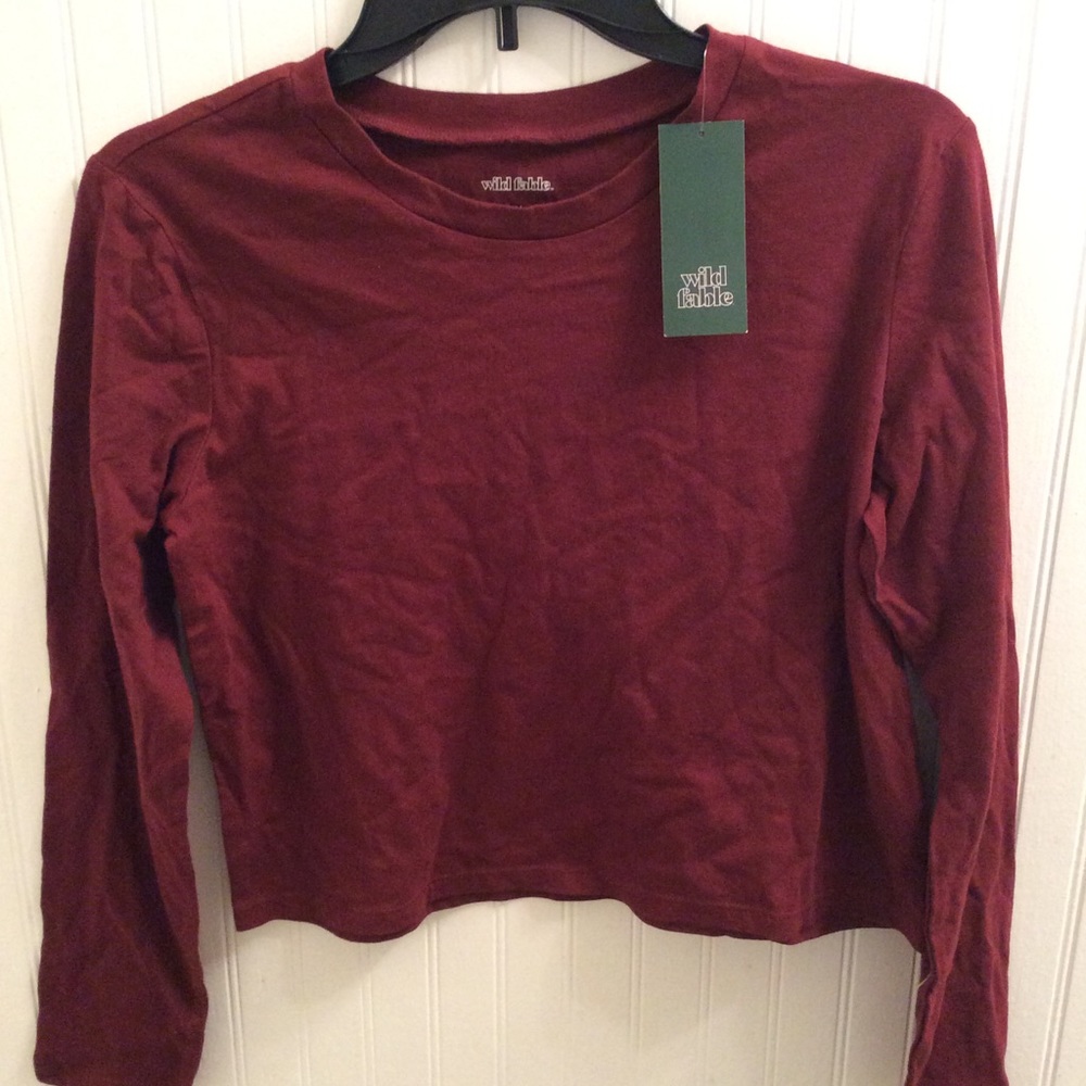Long Sleeved Burgundy Cropped Tee by Wild Fable